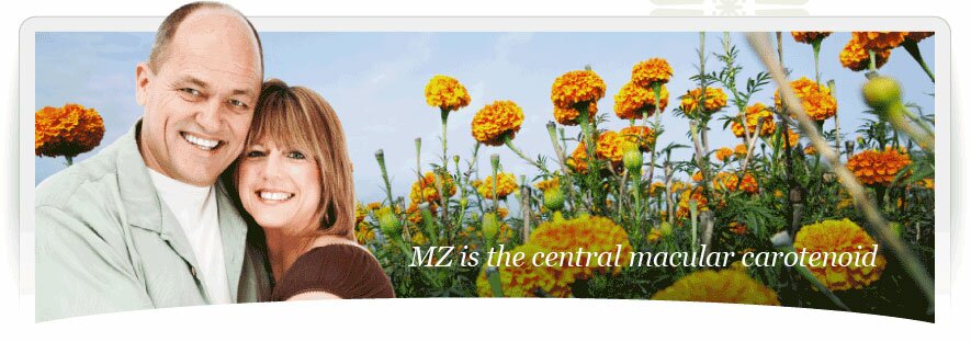MZ is the central macular carotenoid