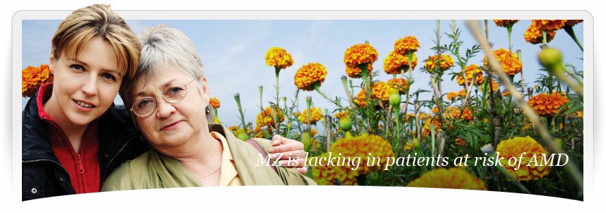 MZ is lacking in patients at risk of AMD